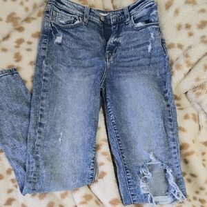 Willow + root mom jeans